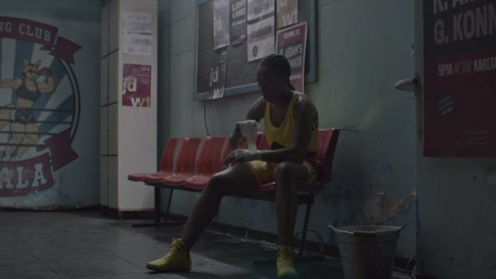 wolkswagen polo - ali