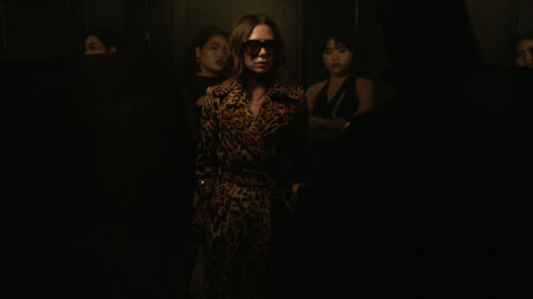 victoria beckham x dazed
