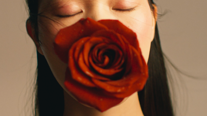 by redo - rose of no man’s Land