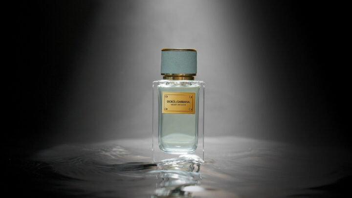 dolce & gabbana - velvet zafferano