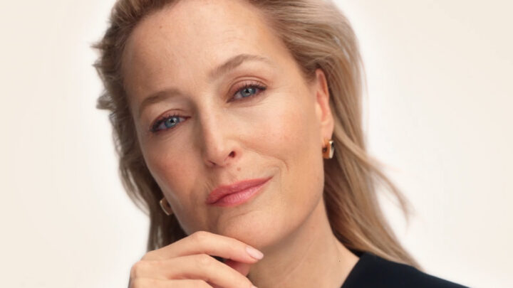 l'oréal x gillian anderson