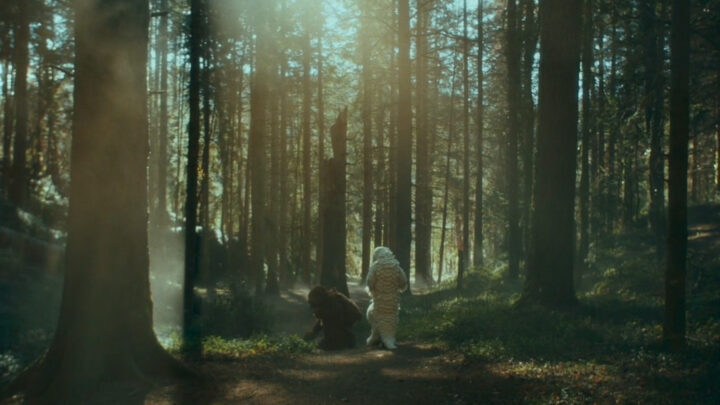 ferran palau - plora aqui