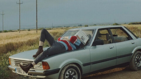 wild beasts - big cat